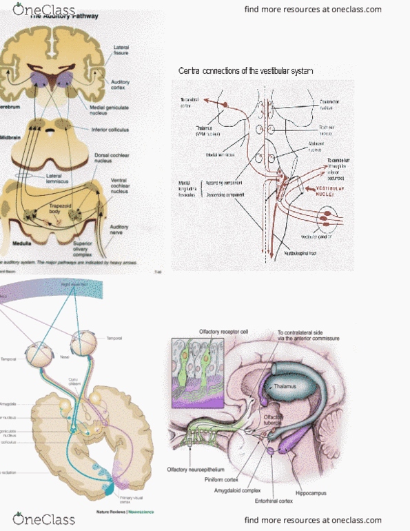 document preview image