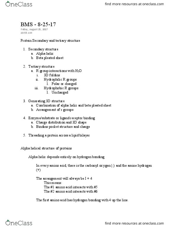BMS 300 Lecture Notes - Lecture 4: Beta Sheet, Alpha Helix, Stairs thumbnail