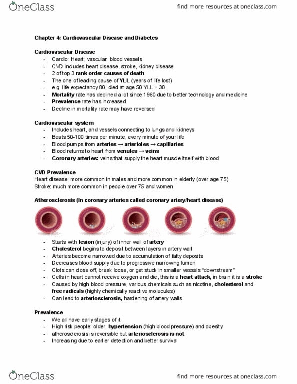 BPK 140 Chapter Notes - Chapter 4: Transient Ischemic Attack, Coronary Circulation, Angina Pectoris thumbnail