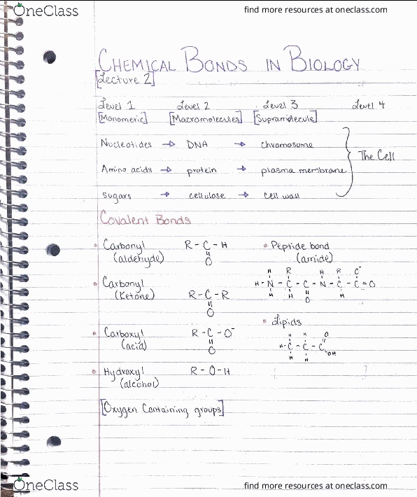 BIO 112 Lecture 2: Chemical Bonds in Biology thumbnail