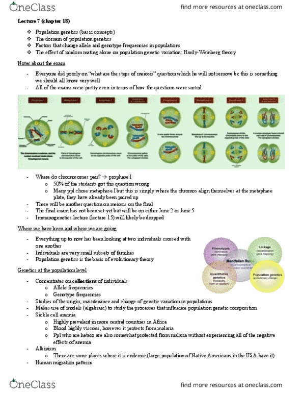 BIOL 202 Lecture Notes - Lecture 7: Albinism, Quadratic Equation, Allele Frequency thumbnail