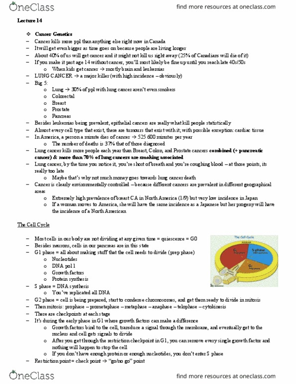 BIOL 202 Lecture Notes - Lecture 14: Helicase, 18 Months, Blood Vessel thumbnail