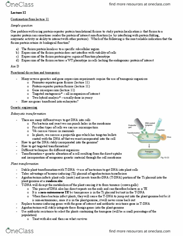 BIOL 202 Lecture Notes - Lecture 12: Dicer, Tungsten, Genetically Modified Crops thumbnail