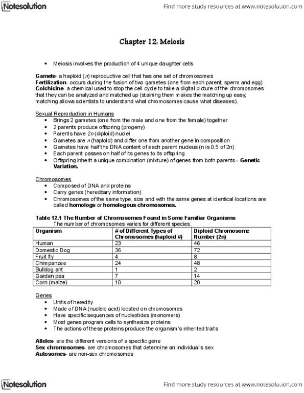 BIOLOGY 1A03 Lecture Notes - Sister Chromatids, Synaptonemal Complex, Allosome thumbnail