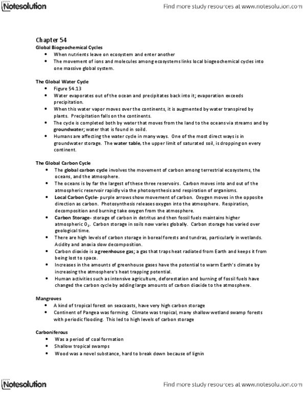 BIOLOGY 1M03 Lecture Notes - Carbon Cycle, Water Cycle, Photosynthesis thumbnail