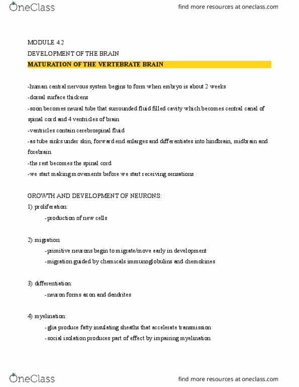 PS263 Chapter Notes - Chapter 4: Hindbrain, Neuroglia, Neural Tube thumbnail