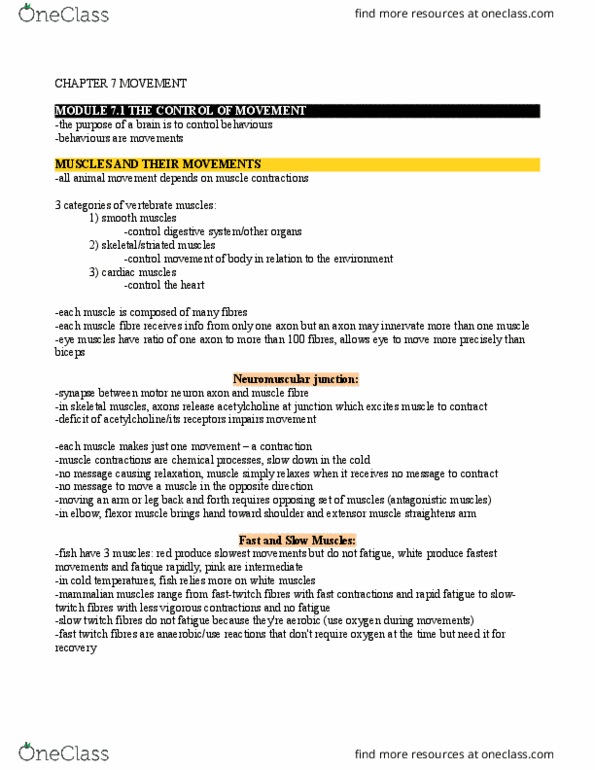 PS263 Chapter Notes - Chapter 7: Muscle Spindle, Excess Post-Exercise Oxygen Consumption, Biceps thumbnail