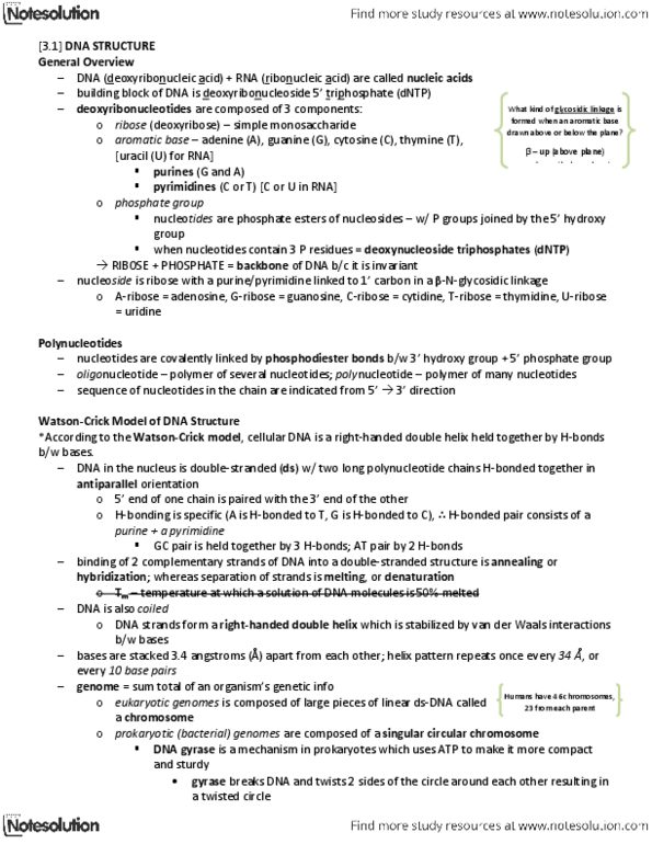 BIOL 2400 Chapter Notes -Dna Gyrase, Glycosidic Bond, Polynucleotide thumbnail