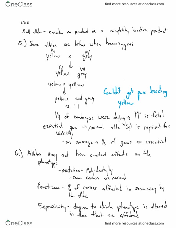 Biology And Biomedical Sciences BIOL 2960 Lecture 4: Lecture 4 thumbnail