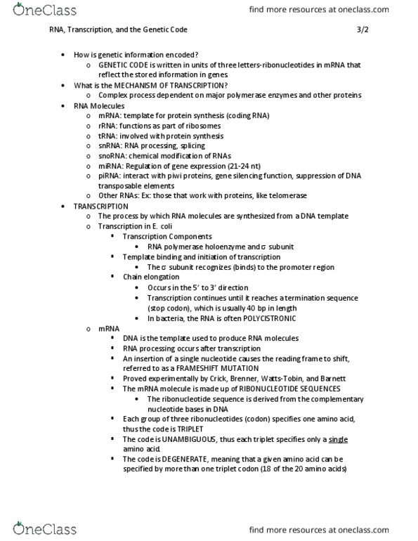 BIOL 3451 Lecture Notes - Lecture 9: Thomas Cech, Transcription Factor Ii A, Polyadenylation thumbnail