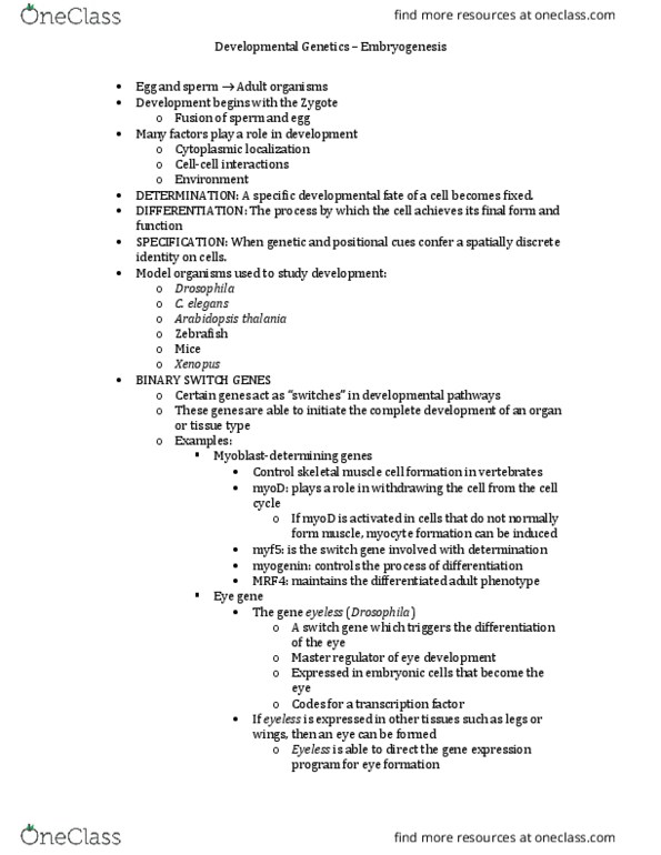 BIOL 3451 Lecture Notes - Lecture 17: Cleidocranial Dysostosis, Chromosome, Chromatin thumbnail