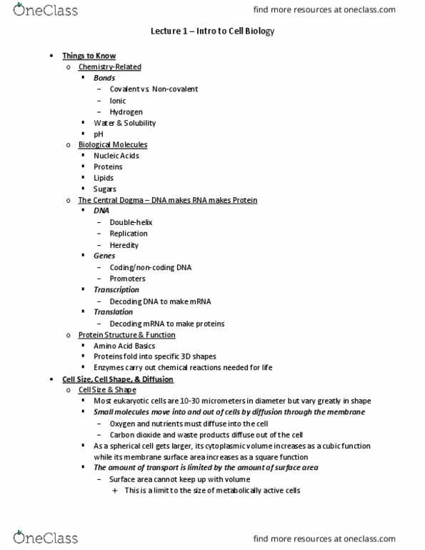 MCB 2210 Lecture Notes - Lecture 1: Microrna, Cytoskeleton, Cell Theory thumbnail