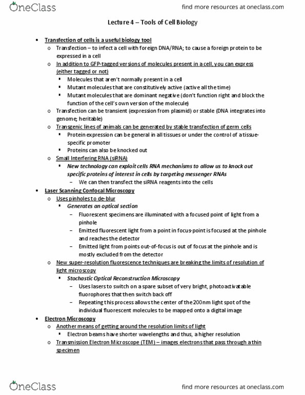 MCB 2210 Lecture Notes - Lecture 4: Antibody, Transmission Electron Microscopy, Osmium Tetroxide thumbnail