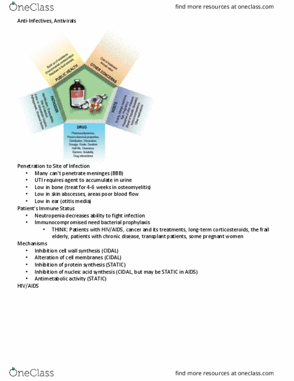 NURS 3110 Lecture Notes - Lecture 20: Rimantadine, Amantadine, Tuberculosis thumbnail