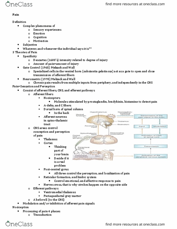 NURS 3220 Lecture Notes - Lecture 2: Slow-Wave Sleep, Stop Sign, Sleep Deprivation thumbnail