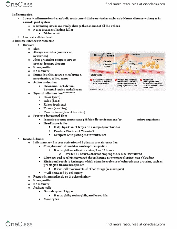 NURS 3220 Lecture Notes - Lecture 1: Fibroblast, Puffy Amiyumi, Granulation Tissue thumbnail
