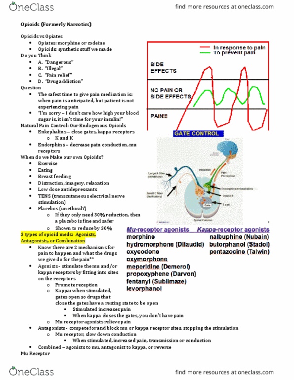 NURS 3220 Lecture Notes - Lecture 4: Equianalgesic, Active Metabolite, Opioid Overdose thumbnail