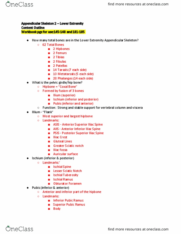 EXSS 175 Lecture Notes - Lecture 3: Malleolus, Pelvic Brim, Symphysis thumbnail