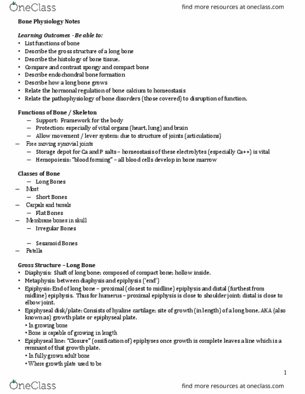 PNB 2265 Lecture Notes - Lecture 6: Sex Steroid, Tetany, Thyroid thumbnail