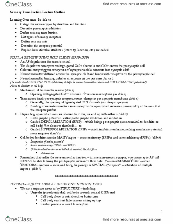 PNB 2265 Lecture Notes - Lecture 14: Stimulus Modality, Lateral Inhibition, Sensory Cortex thumbnail