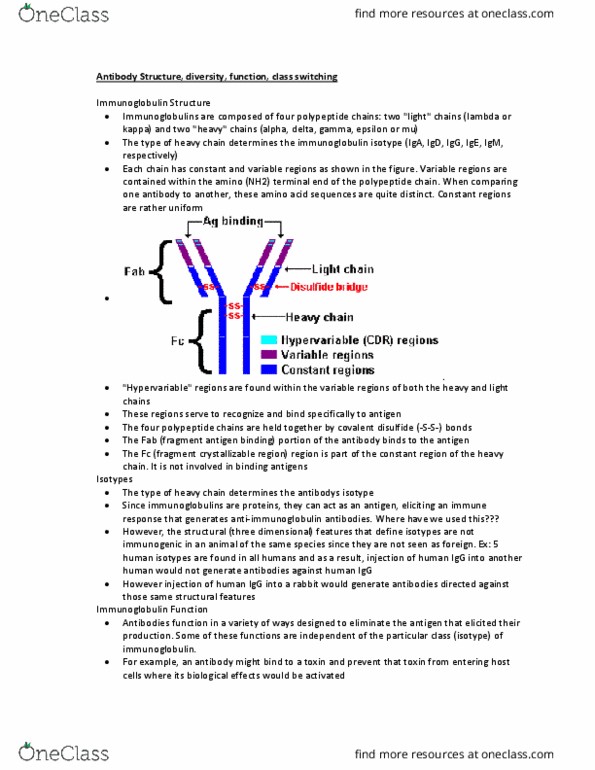 ANFS251 Lecture Notes - Lecture 11: Dipeptide, Clonal Selection, Fragment Crystallizable Region thumbnail