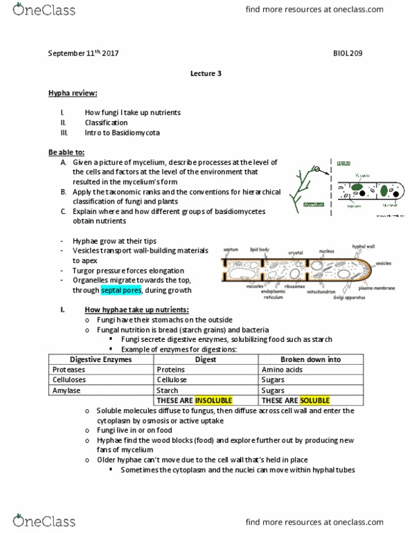 BIOL 209 Lecture Notes - Lecture 3: Chitin, Venn Diagram, Eukaryote thumbnail