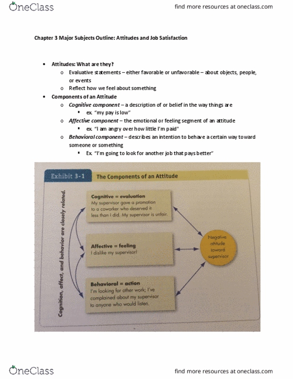 MGMT 201 Chapter Notes - Chapter 3: Counterproductive Work Behavior, Corporate Social Responsibility, Job Satisfaction thumbnail