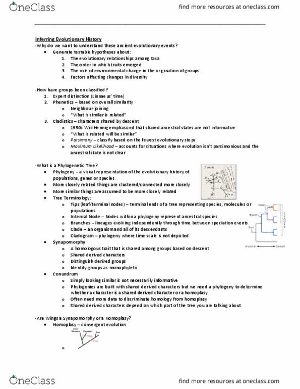 BIOL 2400 Lecture Notes - Lecture 3: Reptile, Phenetics, Carl Linnaeus thumbnail