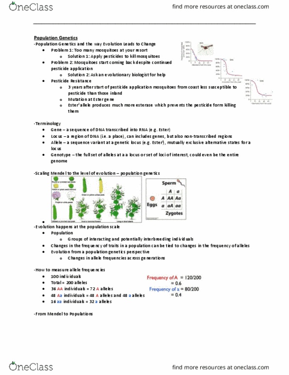 BIOL 2400 Lecture Notes - Lecture 4: Inbreeding Depression, Adult Stem Cell, Quantitative Genetics thumbnail