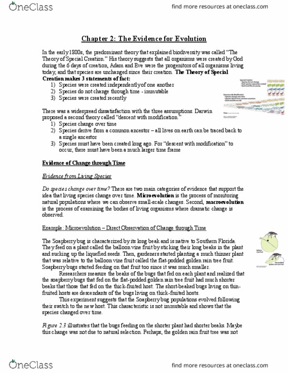 BIOL 3142 Lecture Notes - Lecture 2: Chromosome, Jaguarundi, Intron thumbnail