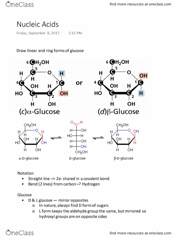 BIOL 141 Lecture Notes - Lecture 4: Methyl Group, Deoxyribose, Condensation Reaction thumbnail