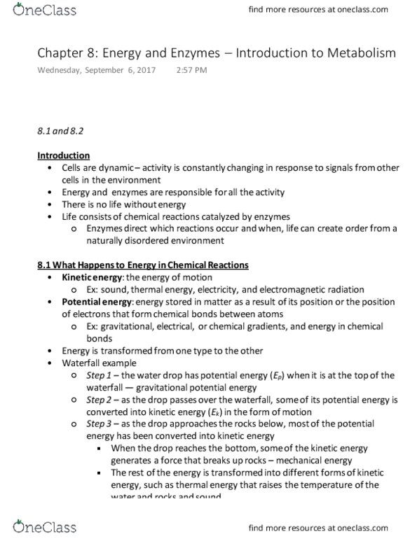 BIOL 141 Chapter Notes - Chapter 8.1-8.2: Electron Donor, Ribozyme, Atomic Nucleus thumbnail