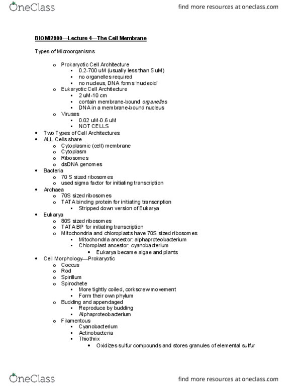 BIOMI 2900 Lecture Notes - Lecture 4: Nucleoid, Phosphoenolpyruvic Acid, Mannose thumbnail