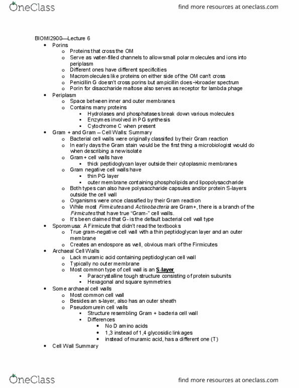 BIOMI 2900 Lecture Notes - Lecture 6: Phototaxis, Ionic Strength, Chitin thumbnail