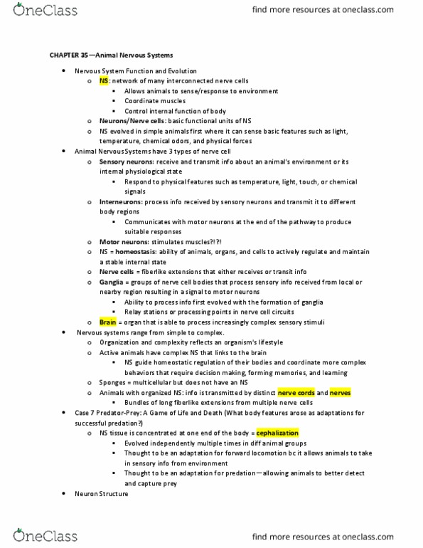 LIFESCI 2 Lecture Notes - Lecture 12: Myelin, Occipital Lobe, Positive Feedback thumbnail