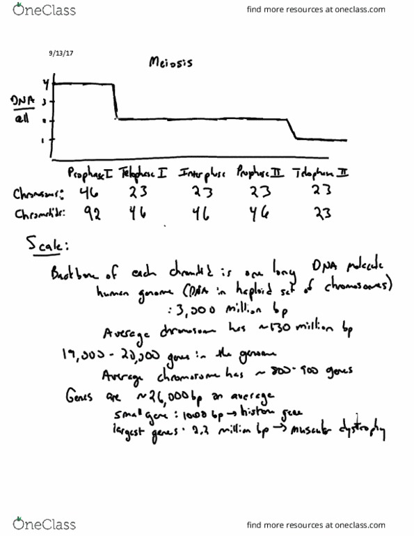 Biology And Biomedical Sciences BIOL 2960 Lecture 7: Lecture 7 thumbnail