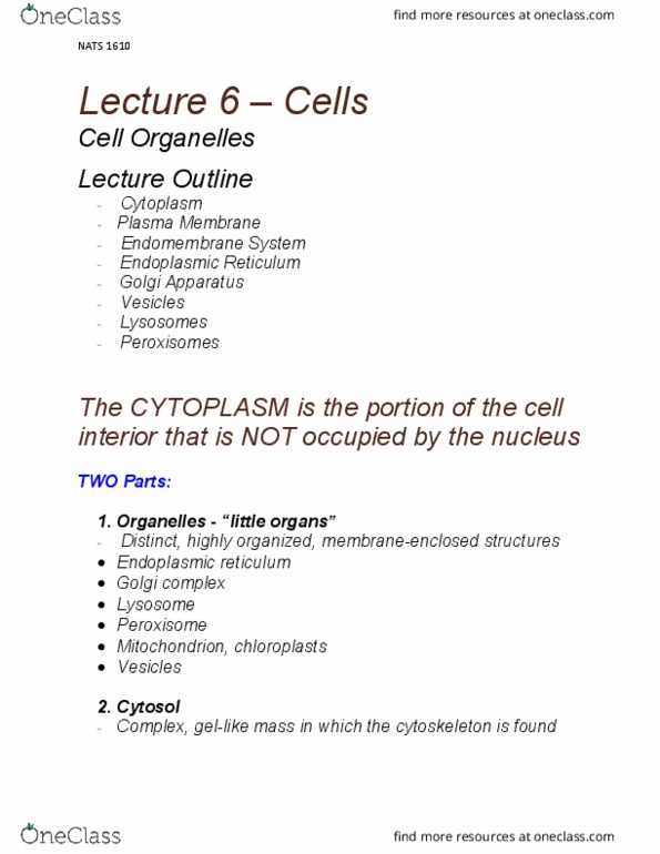 NATS 1610 Lecture Notes - Lecture 6: Cellular Respiration, Hemicellulose, Plant Cell thumbnail