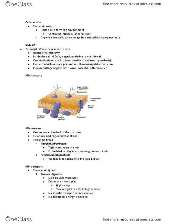 BIO 3305 Lecture Notes - Lecture 1: Reversal Potential, Ion Channel, Facilitated Diffusion thumbnail