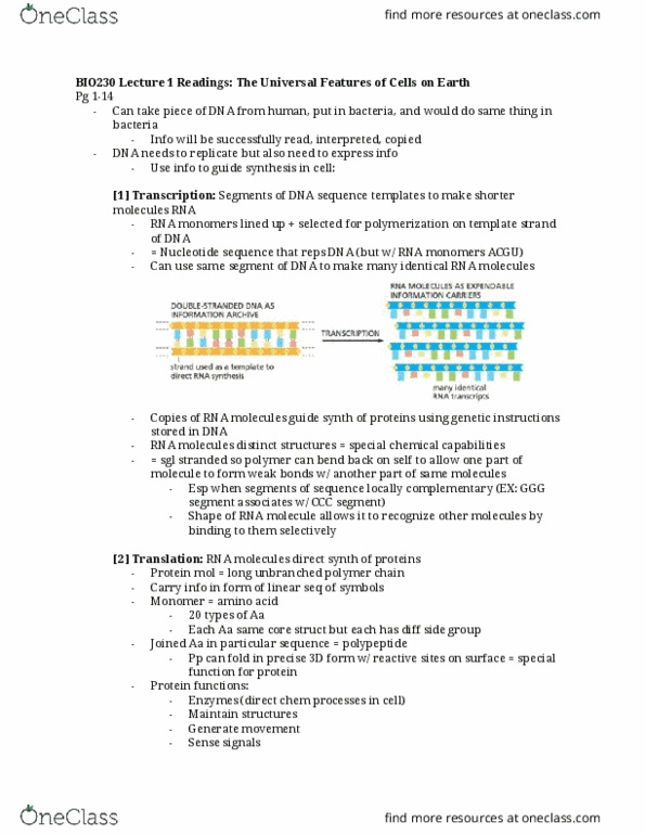 BIO230H1 Chapter Notes - Chapter 1: Cell Membrane, Asteroid Family, Nuclear Membrane thumbnail