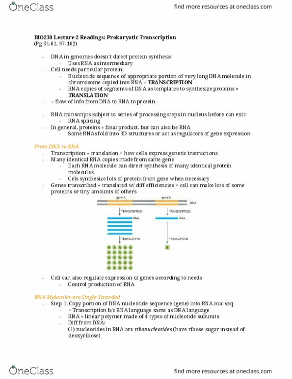 BIO230H1 Chapter Notes - Chapter 2: Lac Operon, Transcriptional Regulation, Structural Motif thumbnail