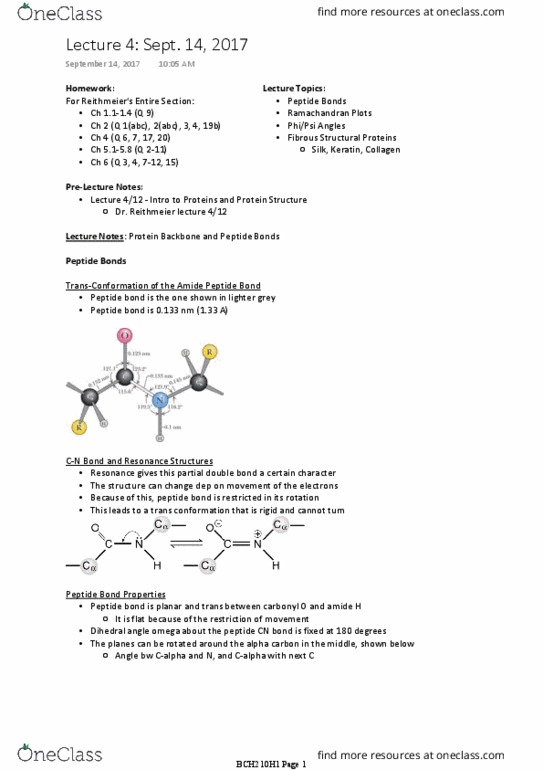 BCH210H1 Lecture Notes - Lecture 4: Enzyme, Phenylalanine, Heptad Repeat thumbnail