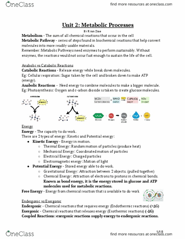 BIOLOGY 2A03 Chapter Notes - Chapter 3-7: Electron Affinity, Light-Dependent Reactions, Carboxylation thumbnail