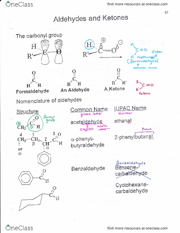 CHEM 2262 Lecture Notes - Lecture 2: Acylation, Ozonide, Formaldehyde thumbnail