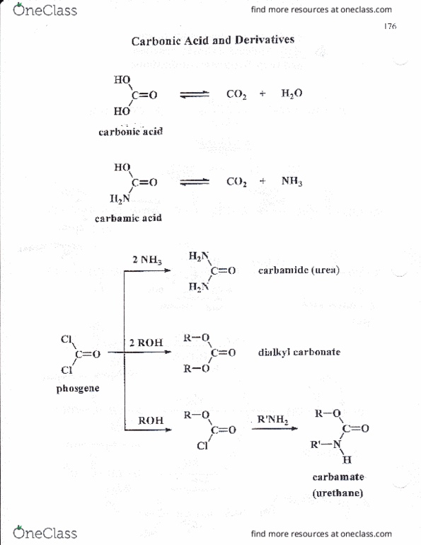 CHEM 2262 Lecture Notes - Lecture 3: Sulfapyridine, Prontosil, Decarboxylation thumbnail