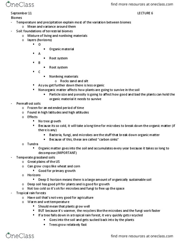 BIOL2010 Lecture Notes - Lecture 6: Photic Zone, Interphase, Primary Production thumbnail