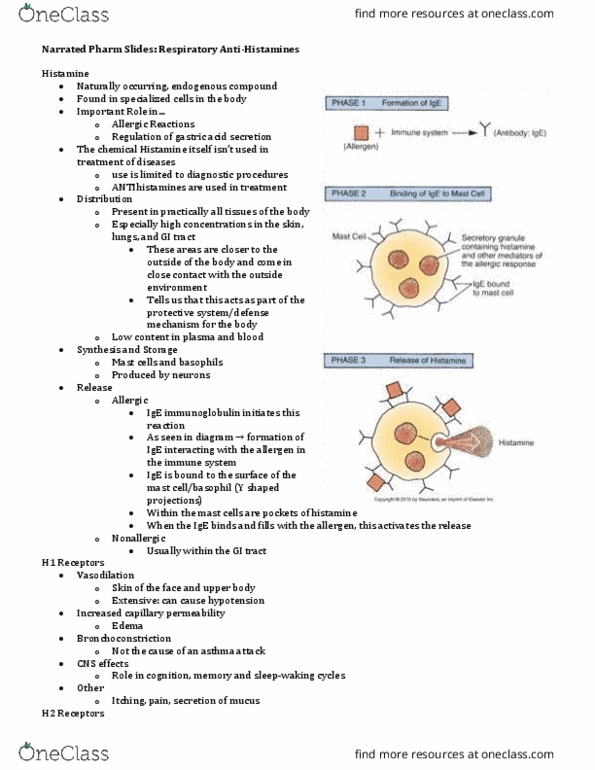 NURS 3220 Lecture Notes - Lecture 9: Lactation, Sedation, Central Nervous System Depression thumbnail