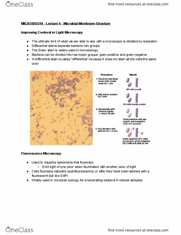 MICROBIO 310 Lecture Notes - Lecture 4: Archaea, Lipopolysaccharide, Peptidoglycan thumbnail