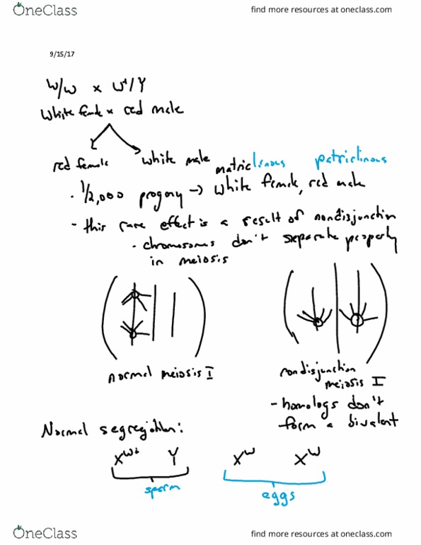 Biology And Biomedical Sciences BIOL 2960 Lecture 8: Lecture 8 thumbnail