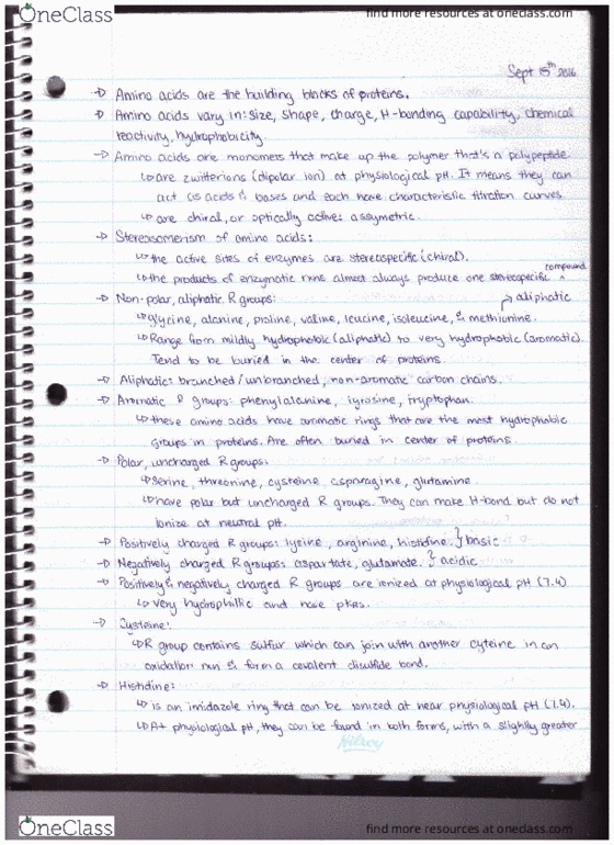 BCHM 2020 Lecture Notes - Lecture 2: Amide, Aliphatic Compound, Imidazole thumbnail