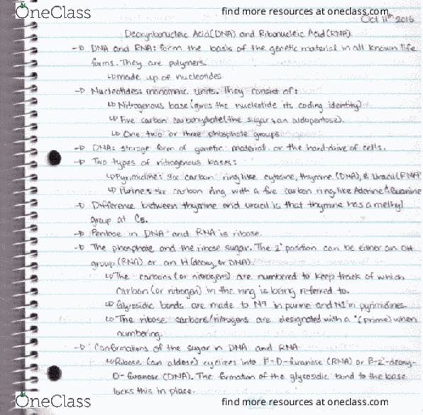 BCHM 2020 Lecture Notes - Lecture 10: Meke, Glycosidic Bond, Ribose thumbnail
